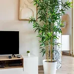 Le Petit Sanary- Balcon, Parking, Apartment Sanary-sur-Mer